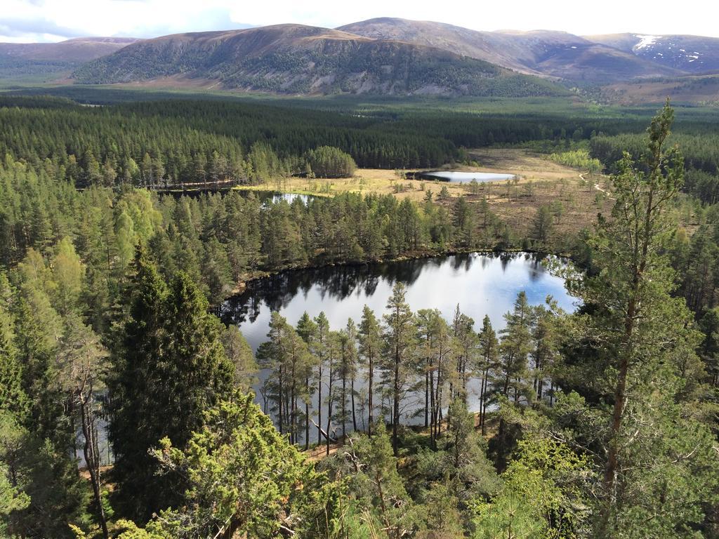 Riverbank Lodge Aviemore Esterno foto